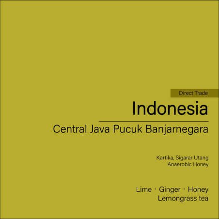 Indonesia Pucuk Banjarnegara (Anaerobic Honey)