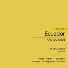 Ecuador Finca Soledad Typica Mejorado (Honey)