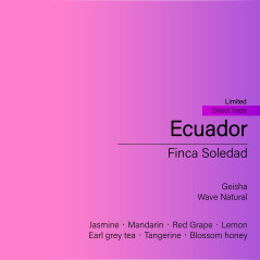 Ecuador Finca Soledad Geisha (Wave Natural)_Limited