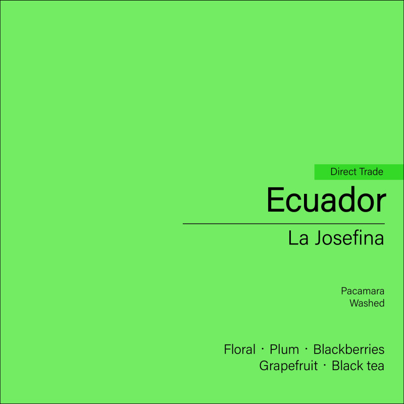 Ecuador La Josefina Pacamara (Washed)