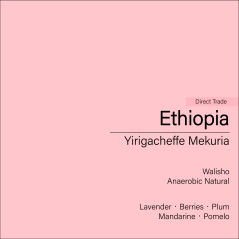 Ethiopia Yirigacheffe Mekuria (Anaerobic Natural)