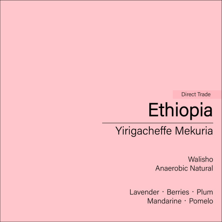 Ethiopia Yirigacheffe Mekuria (Anaerobic Natural)