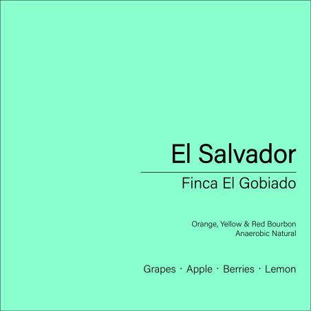 El Salvador Finca El Gobiado_Bourbon (Anaerobic Natural)