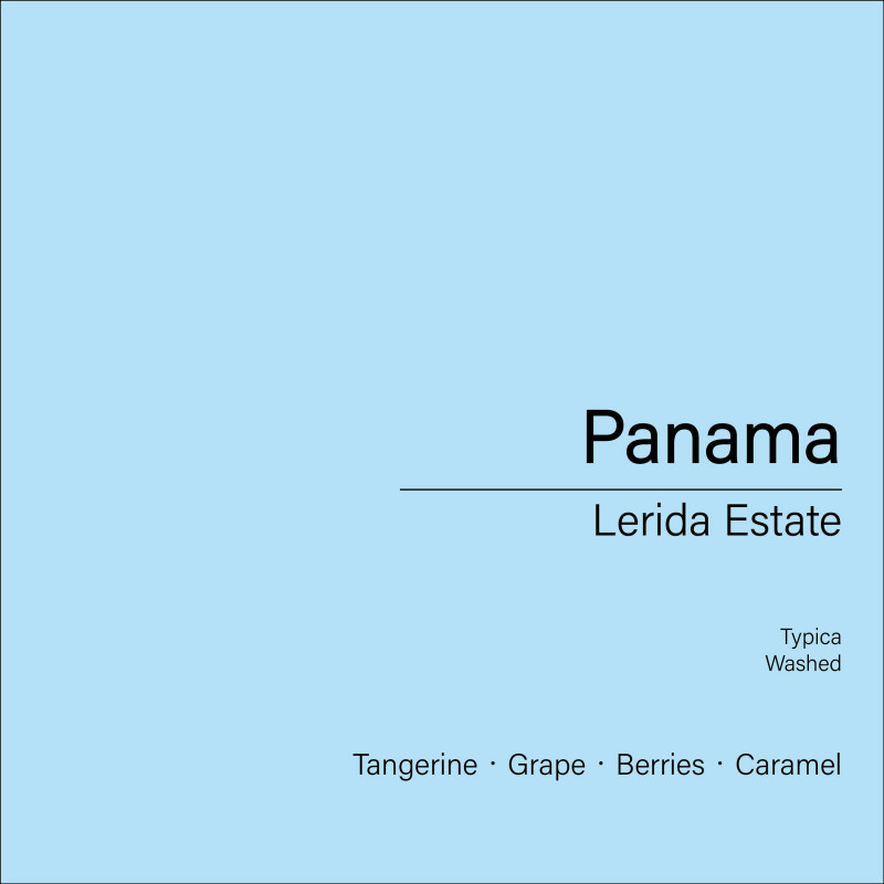 Panama Lerida Estate_Typica (Washed)