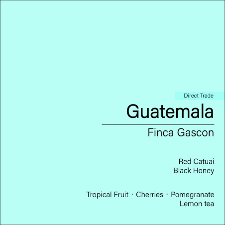 Guatemala Finca Gascon (Black Honey)